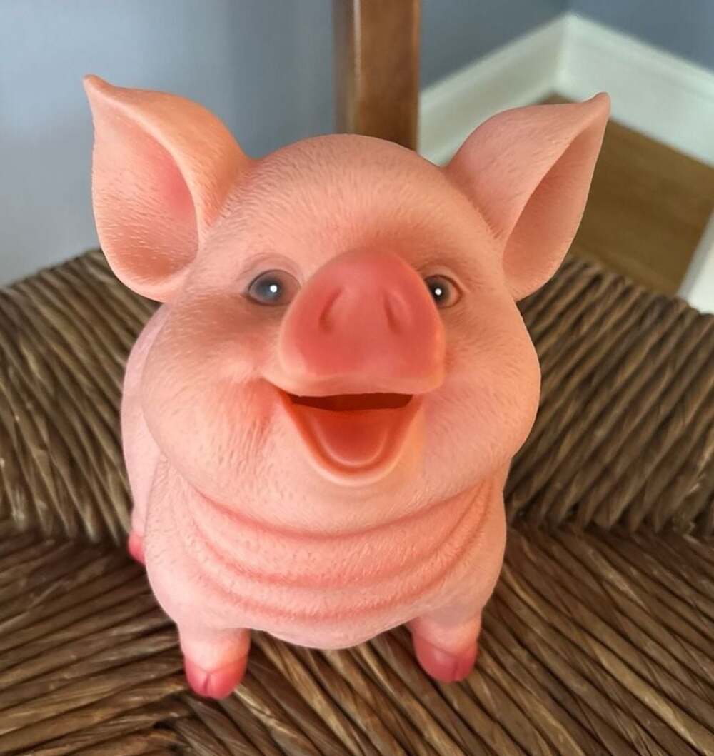 Realistic Laughing Pink Pig Piggy Bank - Textured Vinyl Unbreakable Coin Bank